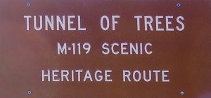 Northern Michigan Tunnel of Trees