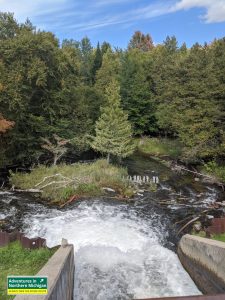 Rugg Pond Natural Area Rapid River