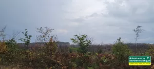 Drive home from the Loon Resort on Mancelona Highway Fall color