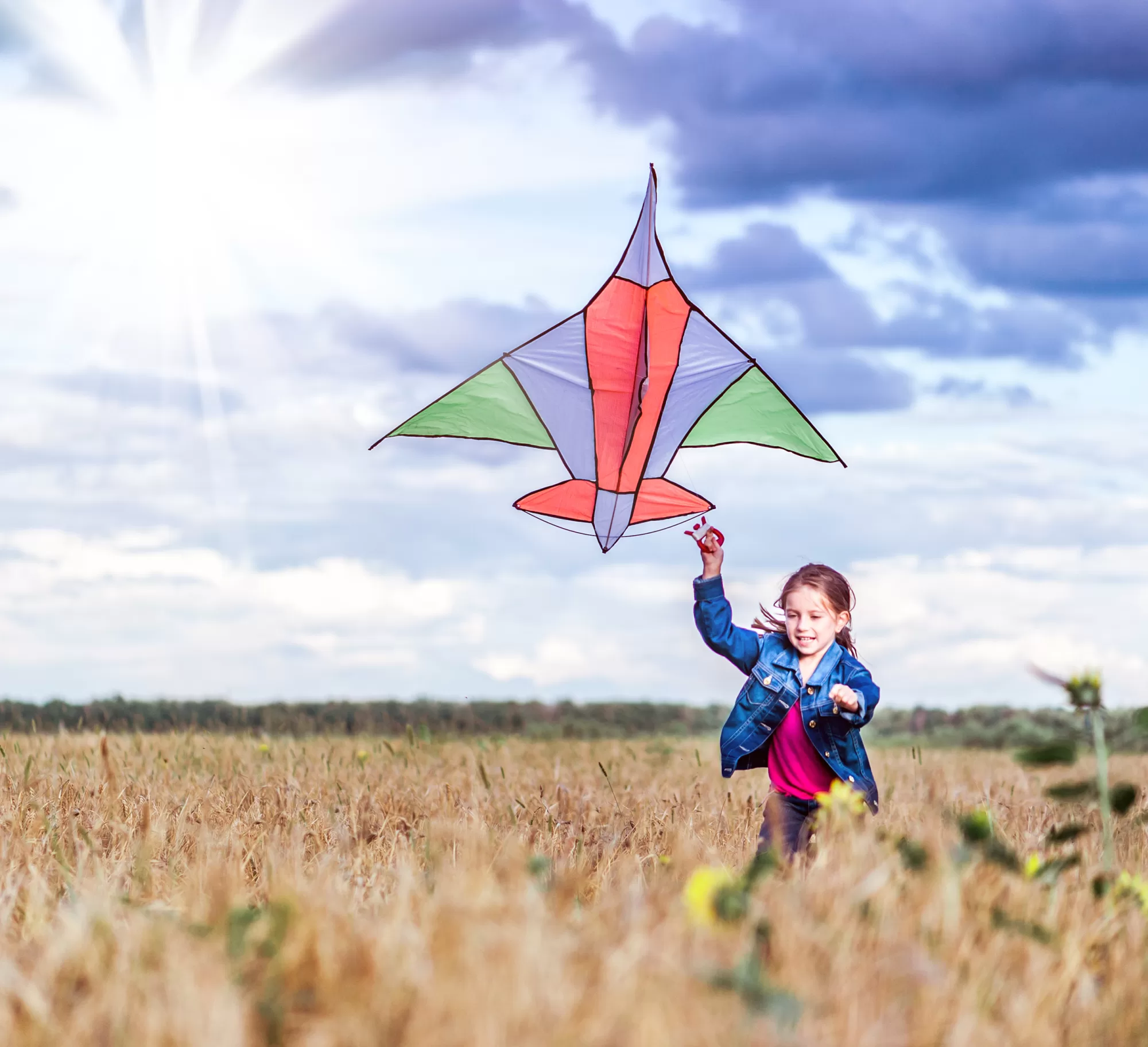 beautiful little girl run with a kite in a field of wheat