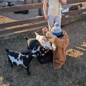 Northern Michigan's best petting farms & zoos