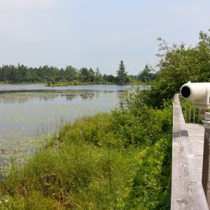 Explore over a dozen scenic trails at Seney National Wildlife Refuge—perfect for hiking, skiing, birdwatching, and family-friendly fun.