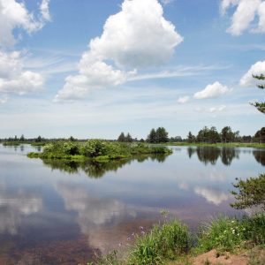 Explore Seney National Wildlife Refuge—95,000 acres of wilderness, wildlife, and wonder in Michigan’s Upper Peninsula.