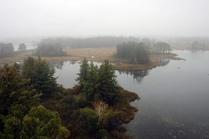 Explore Seney National Wildlife Refuge—95,000 acres of wilderness, wildlife, and wonder in Michigan’s Upper Peninsula.