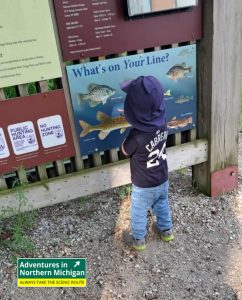Explore over a dozen scenic trails at Seney National Wildlife Refuge—perfect for hiking, skiing, birdwatching, and family-friendly fun.