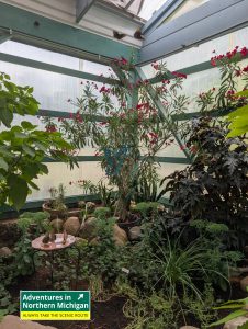 The GT Butterfly House & Bug Zoo in Williamsburg lets you walk among butterflies, see glowing scorpions, and explore fascinating insects.