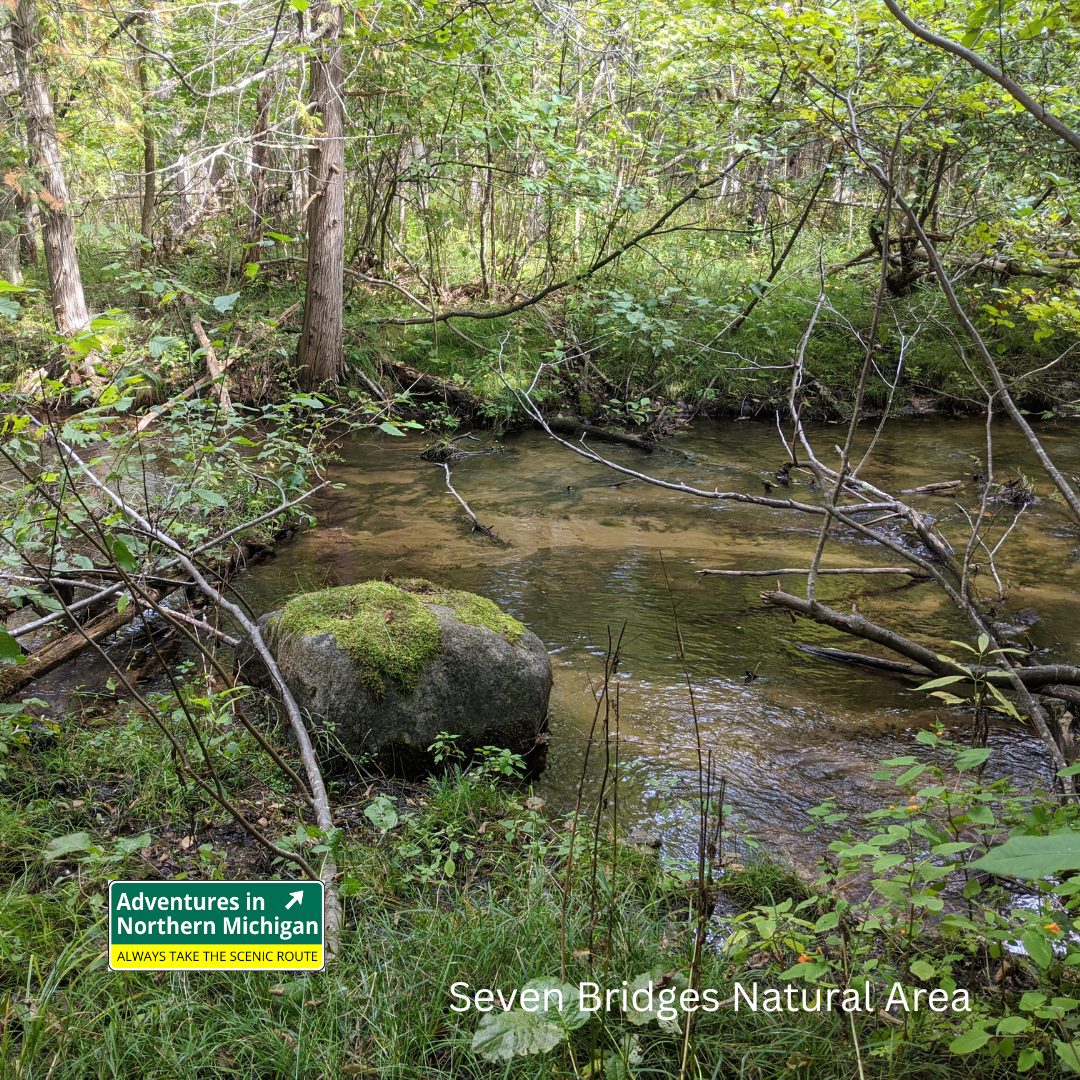 Discover how Northern Michigan’s land conservancies and trusts protect forests, farms, and shorelines—and how landowners can get involved.