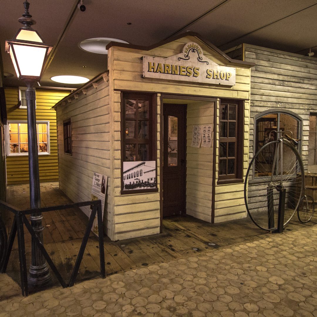 Discover the Besser Museum in Alpena. Art, fossils, historic buildings, planetarium & regional stories all in one fascinating campus.