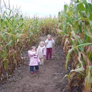 Explore Northern Michigan events by month in 2026, including festivals, seasonal activities, and things to do across the region.