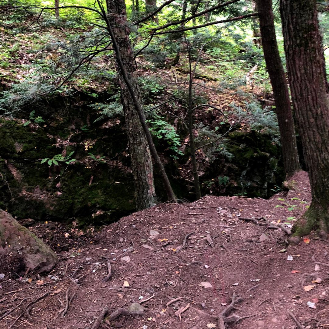 Discover what karst terrain is and how it shapes Michigan’s sinkholes, caves, and underground waterways.