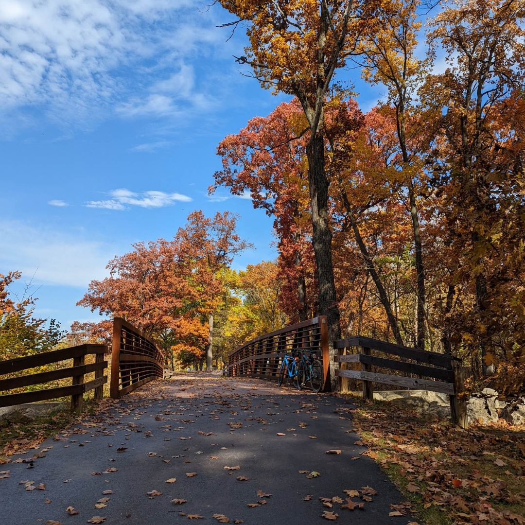 Explore October events in Northern Michigan, including fall festivals, apple celebrations, film events, and seasonal activities.