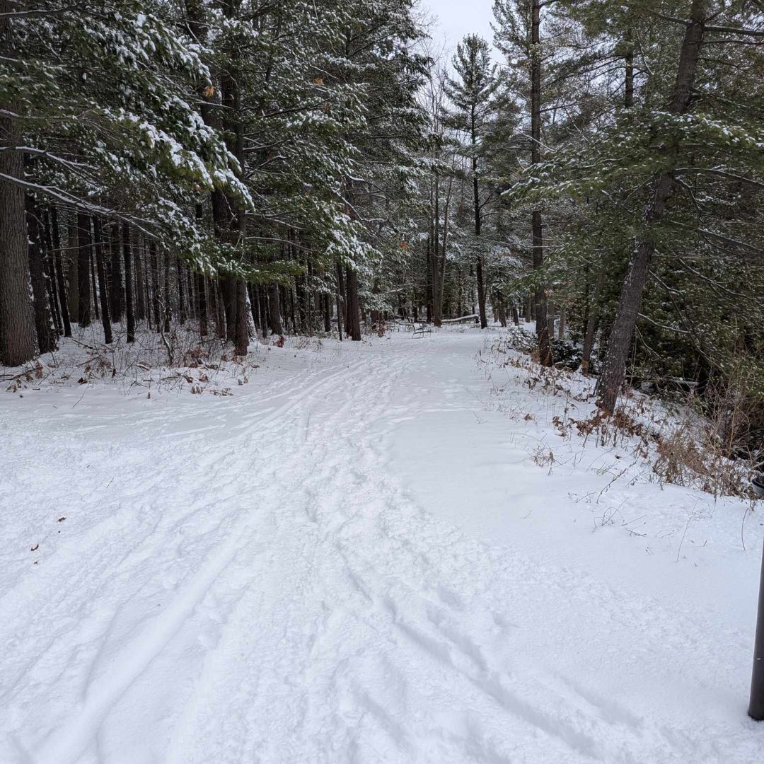 Explore December events in Northern Michigan, including holiday celebrations, tree lightings, and festive small town experiences.