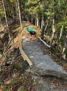 Stevens Twin Sinks trail Alpena Michigan