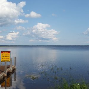 Explore Palms Book State Park in Michigan’s Upper Peninsula, home to Kitch-iti-Kipi, peaceful forest scenery, and one of the state’s most unique natural attractions.