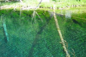 By All Things Michigan - Flickr: Kitch-iti-kipi Spring, CC BY-SA 2.0, https://commons.wikimedia.org/w/index.php?curid=21984063 Discover Kitch-iti-Kipi, Michigan’s largest natural spring in the Upper Peninsula, featuring crystal clear water, trout, and a unique observation raft.