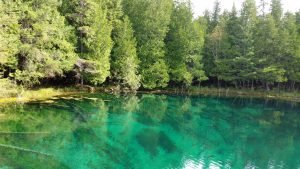 Explore Palms Book State Park in Michigan’s Upper Peninsula, home to Kitch-iti-Kipi, peaceful forest scenery, and one of the state’s most unique natural attractions.