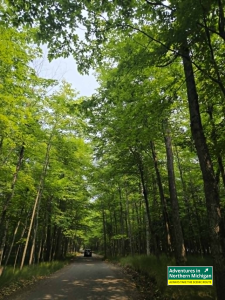 Explore Black Rock in Marquette, Michigan, where our family took the plunge into Lake Superior and discovered beautiful Presque Isle Park.