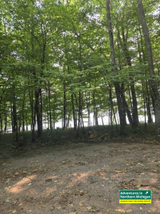 Explore Black Rock in Marquette, Michigan, where our family took the plunge into Lake Superior and discovered beautiful Presque Isle Park.