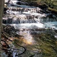 Seven Bridges Nature Area Rapid City Michigan