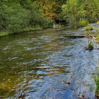 Seven Bridges Nature Area Rapid City Michigan