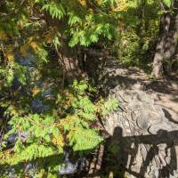 Seven Bridges Nature Area Rapid City Michigan