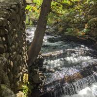 Seven Bridges Nature Area Rapid City Michigan