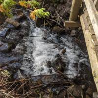 Seven Bridges Nature Area Rapid City Michigan
