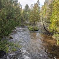 Seven Bridges Nature Area Rapid City Michigan