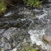Seven Bridges Nature Area Rapid City Michigan