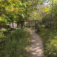 Seven Bridges Nature Area Rapid City Michigan