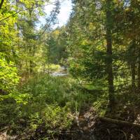 Seven Bridges Nature Area Rapid City Michigan