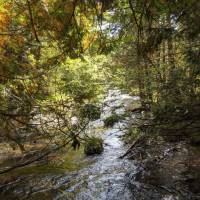 Seven Bridges Nature Area Rapid City Michigan