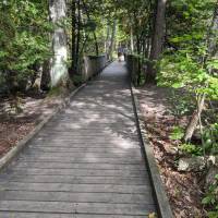 Seven Bridges Nature Area Rapid City Michigan