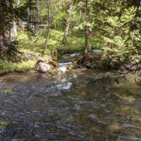 Seven Bridges Nature Area Rapid City Michigan