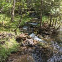 Seven Bridges Nature Area Rapid City Michigan
