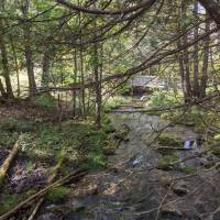 Seven Bridges Nature Area Rapid City Michigan