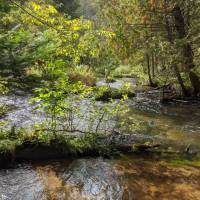 Seven Bridges Nature Area Rapid City Michigan