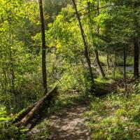 Seven Bridges Nature Area Rapid City Michigan
