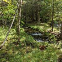 Seven Bridges Nature Area Rapid City Michigan