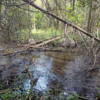 Seven Bridges Nature Area Rapid City Michigan