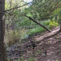 Seven Bridges Nature Area Rapid City Michigan