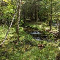 Seven Bridges Nature Area Rapid City Michigan