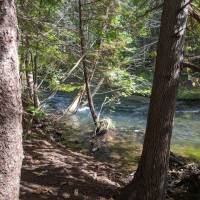 Seven Bridges Nature Area Rapid City Michigan