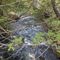Seven Bridges Nature Area Rapid City Michigan