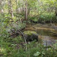Seven Bridges Nature Area Rapid City Michigan