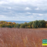 Michigan's Tunnel of Trees in the Fall