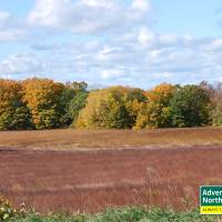 Michigan's Tunnel of Trees in the Fall