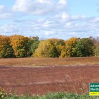 Michigan's Tunnel of Trees in the Fall