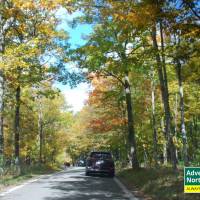 Michigan's Tunnel of Trees in the Fall
