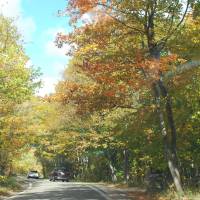 Michigan's Tunnel of Trees in the Fall